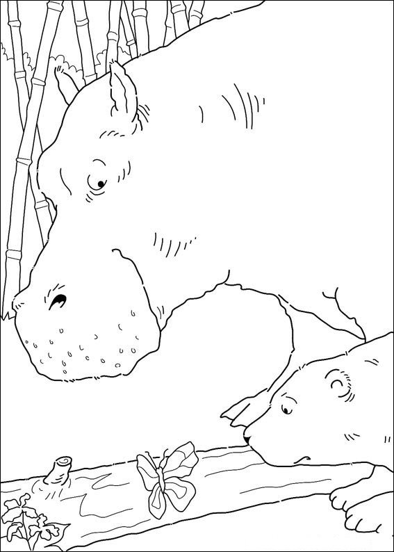 Ausmalbild Lars Der Kleine Eisbär Kids-n-fun.de – Kostenlose Ausmalbilder